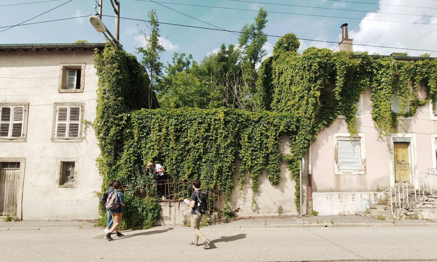 photographie de maisons avec un mur végétal